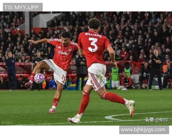 2018年桑德兰对阵狼队精彩回顾与赛季分析